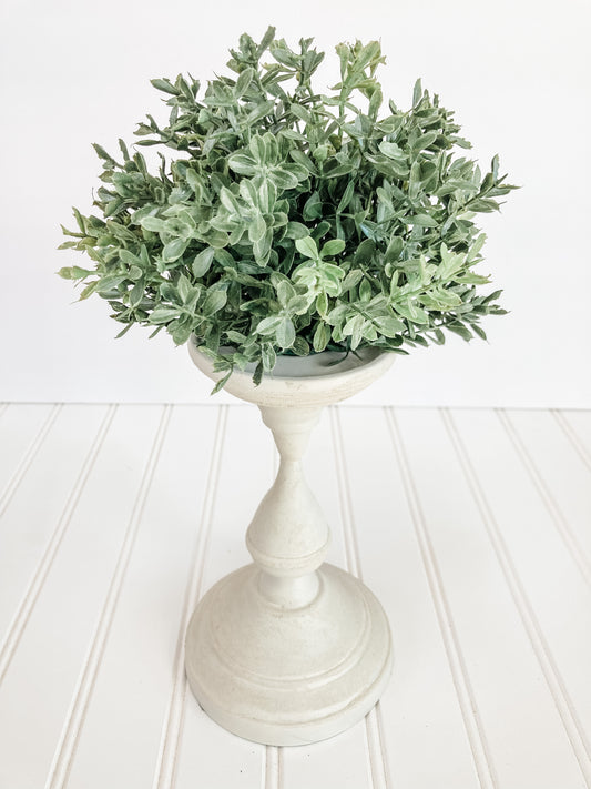 Boxwood Half Sphere